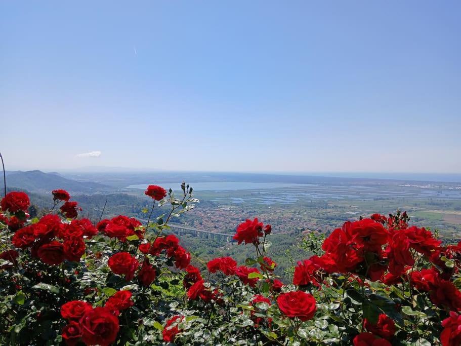 Casa Panoramica Sulle Colline Di Viareggio Holiday home *